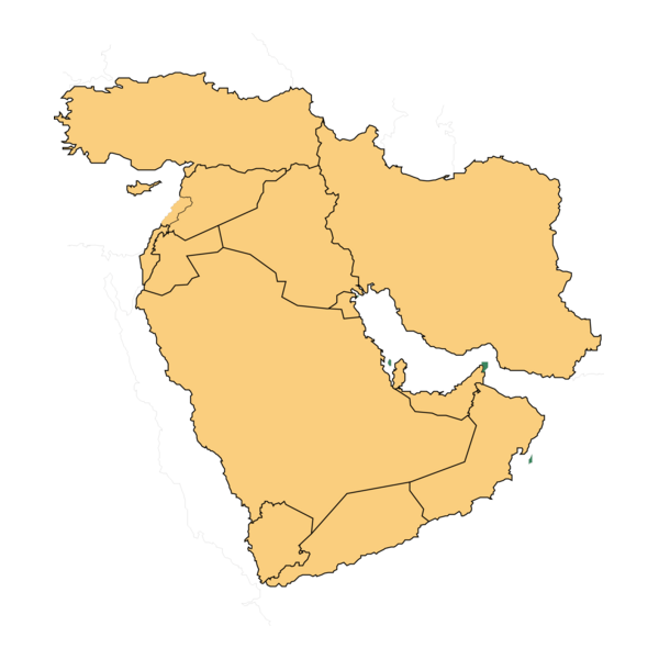 Middle East (13 areas)